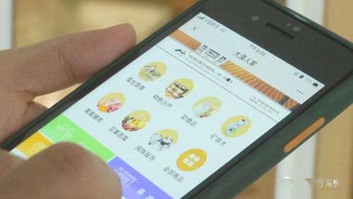 阿右旗 打造電商產業鏈，助力特色產品行穩致遠